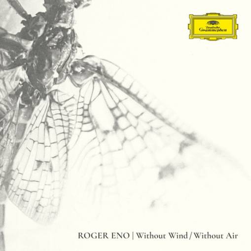 Okładka ENO, ROGER - WITHOUT WIND, WITHOUT AIR (LP)