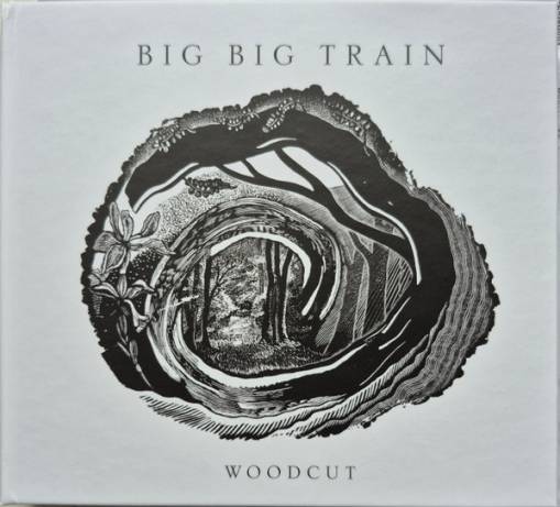 Okładka Big Big Train - Woodcut
