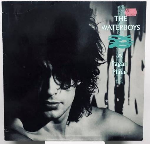 Okładka The Waterboys - A Pagan Place (LP) [EX]