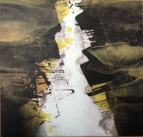 Okładka Lizzard - Eroded