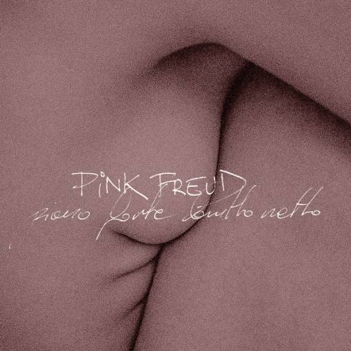 Okładka Pink Freud - piano forte brutto netto