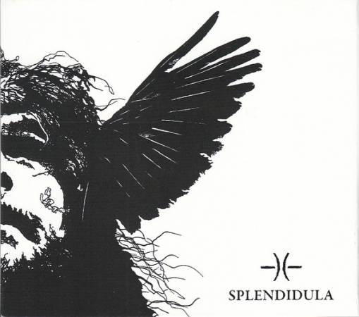 Okładka Splendidula - Somnus