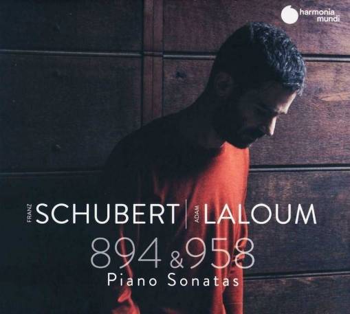 Okładka Schubert - Piano Sonatas D 894 D 958 Laloum