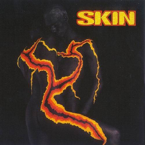 Okładka *Skin - Skin [VG]