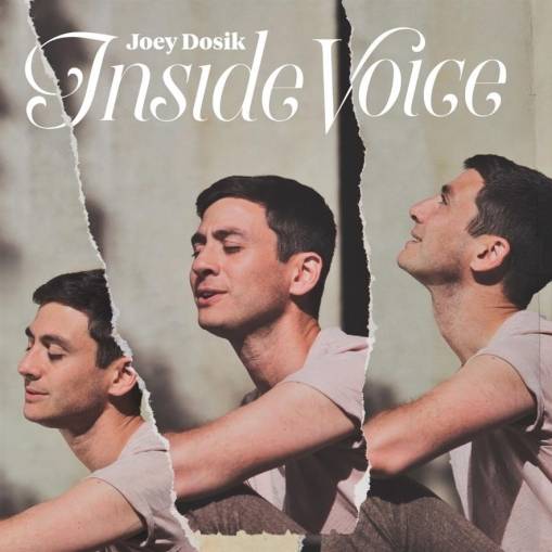 Okładka Joey Dosik - Inside Voice