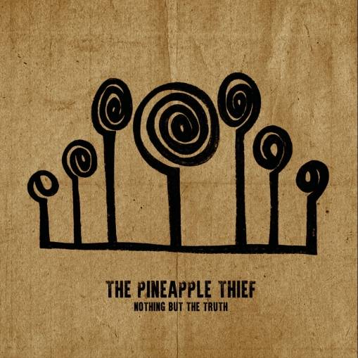 Okładka The Pineapple Thief - Nothing But The Truth LP