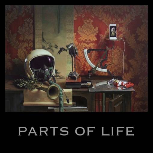 Okładka Kalkbrenner, Paul - Parts of Life