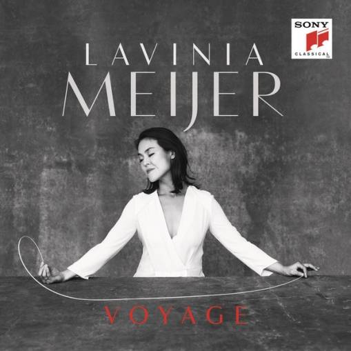 Okładka Meijer, Lavinia - Voyage