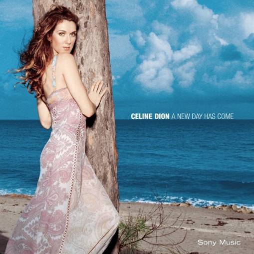 Okładka Dion, Celine - A New Day Has Come