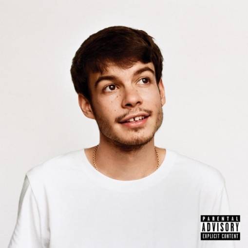 Okładka Rex Orange County - Pony