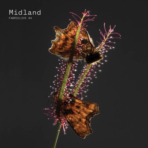 Okładka Midland - Fabriclive 94 Midland