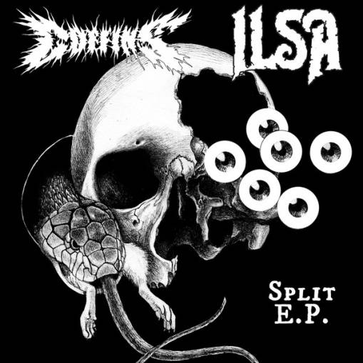 Okładka Coffins Ilsa - Split LP