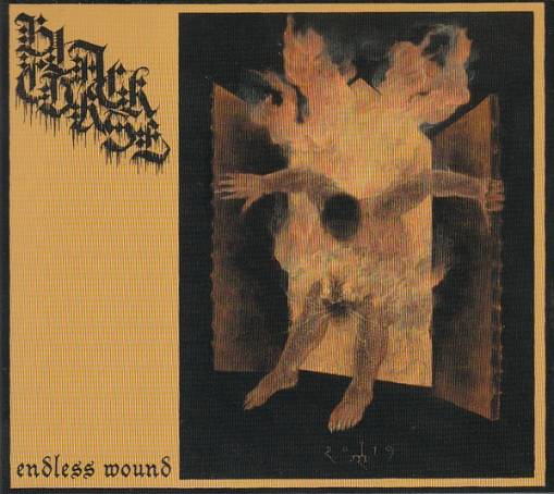 Okładka Black Curse - Endless Wound