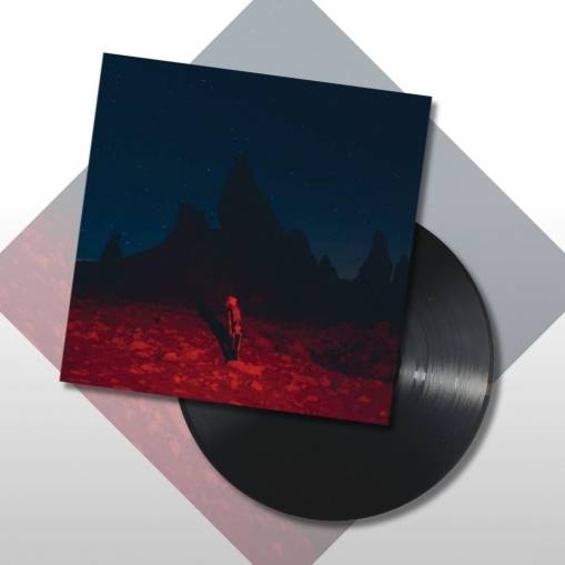 Okładka Phoebe Bridgers - Punisher LP