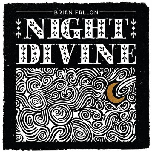 Okładka Fallon, Brian - Night Divine LP