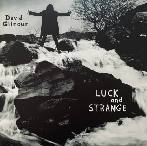 Okładka Gilmour, David - Luck and Strange