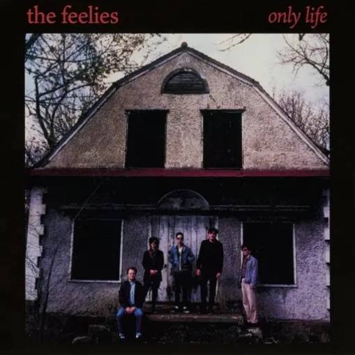 Okładka Feelies, The - Only Life LP