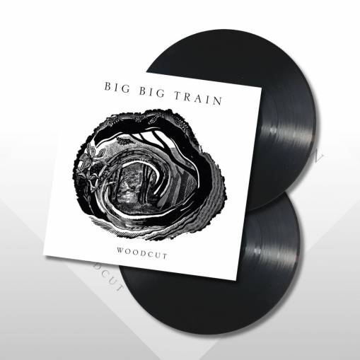 Okładka Big Big Train - Woodcut