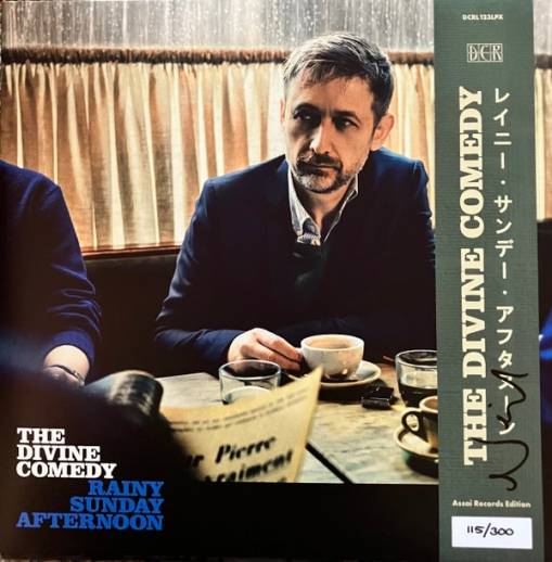 Okładka Divine Comedy, The - Rainy Sunday Afternoon LP BLACK