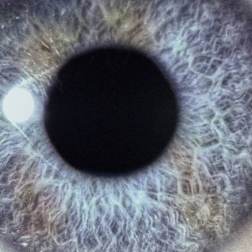 Okładka Swanö, Dan - Moontower (Re-issue)