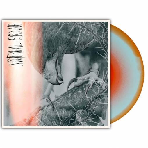 Okładka Author & Punisher - Nocturnal Birding LP