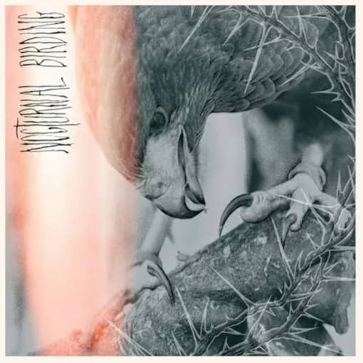 Okładka Author & Punisher - Nocturnal Birding