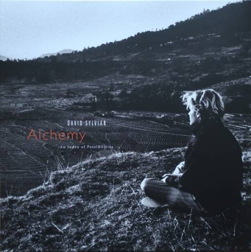 Okładka David Sylvian & Jon Hassell - Alchemy An Index Of Possibilities LP