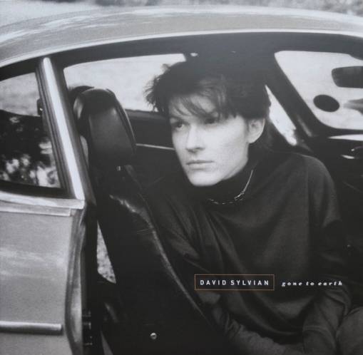 Okładka Sylvian, David - Gone To Earth LP
