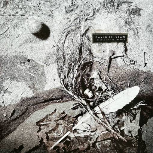 Okładka Sylvian, David - Secrets Of The Beehive LP