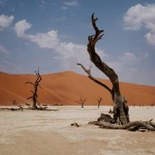 Okładka Nyos - Growl