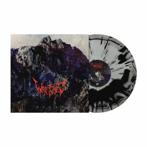 Okładka Wretched - Decay LP SILVER BLACK