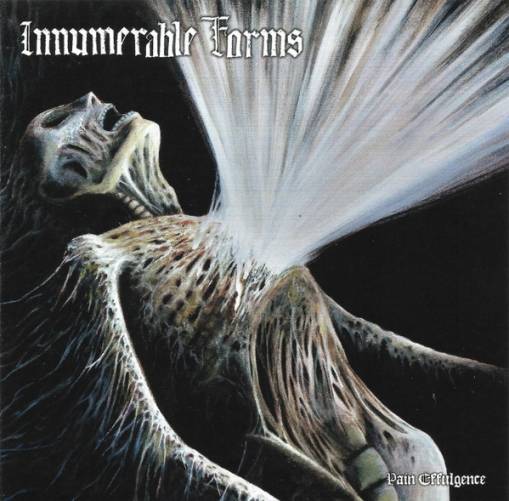 Okładka Innumerable Forms - Pain Effulgence