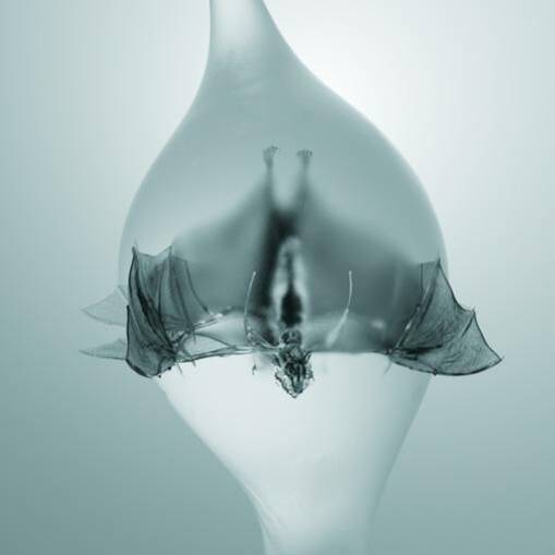 Okładka Unprocessed - Angel LP SPLATTER