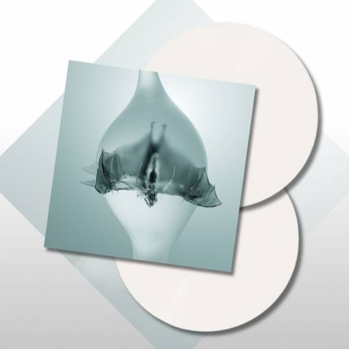 Okładka Unprocessed - Angel LP CLEAR