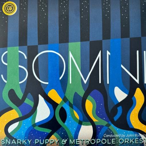 Okładka Snarky Puppy - Somni LP