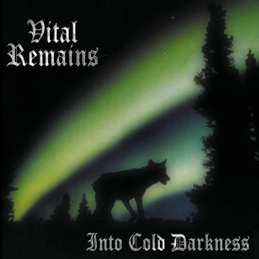 Okładka Vital Remains - Into Cold Darkness