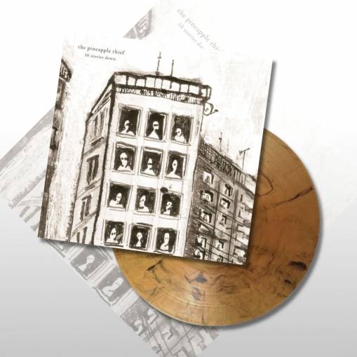 Okładka Pineapple Thief, The - 10 Stories Down 20th Anniversary LP MARBLED