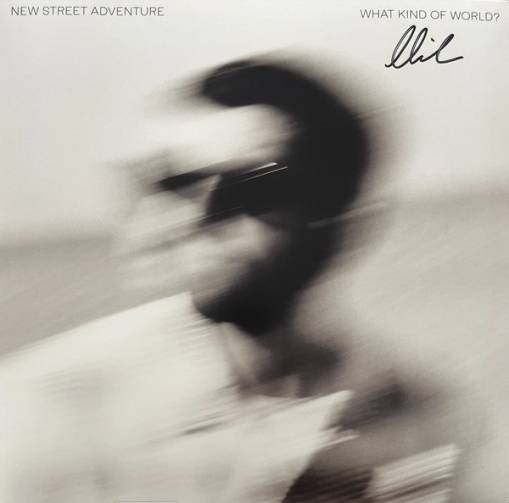 Okładka New Street Adventure feat Nick Corbin - What Kind Of World LP