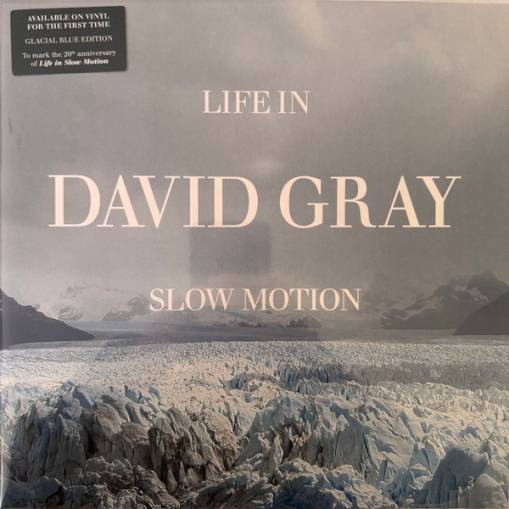 Okładka Gray, David - Life In Slow Motion 20th Anniversary LP BLUE