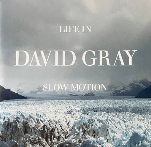 Okładka Gray, David - Life In Slow Motion 20th Anniversary LP DELUXE