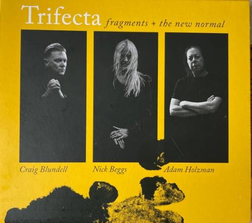 Okładka Trifecta - Fragments The New Normal