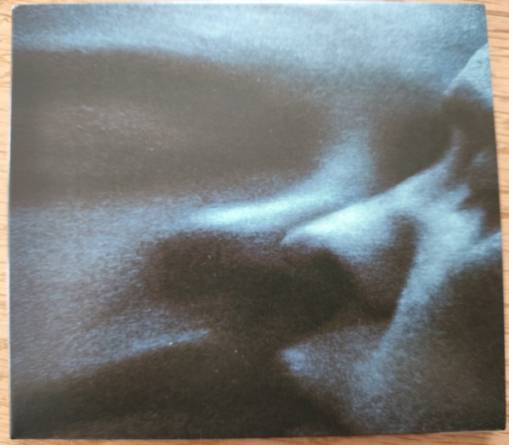 Okładka Puma Blue - Croak Dream