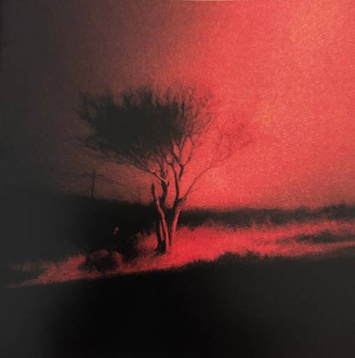 Okładka Joji - Piss In The Wind