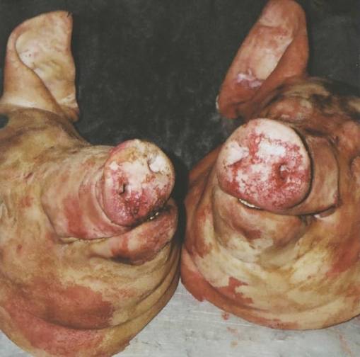 Okładka Armand Hammer & The Alchemist - Haram