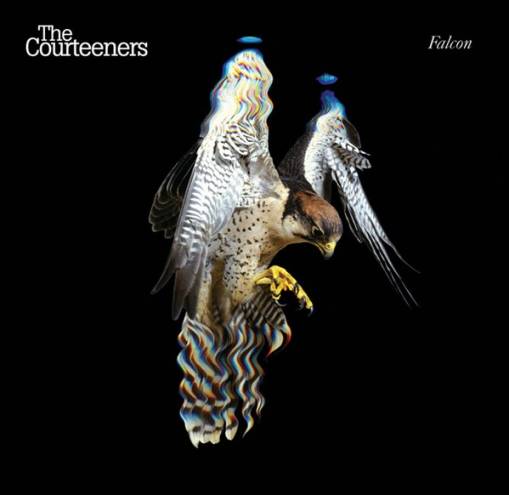 Okładka The Courteeners - Falcon [EX]