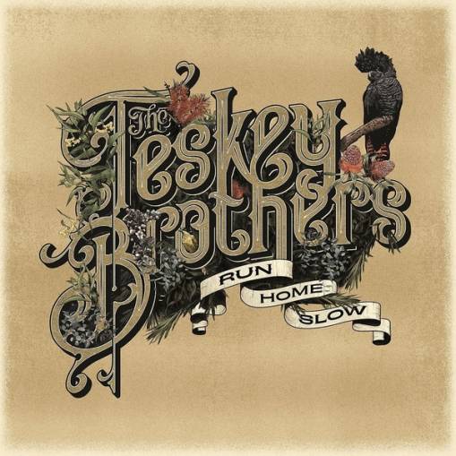 Okładka TESKEY BROTHERS - RUN HOME SLOW LP