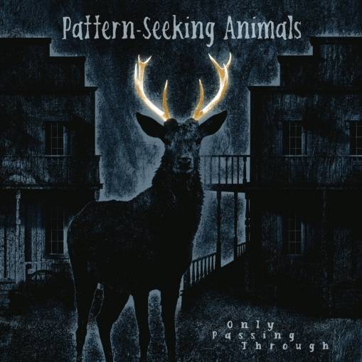 Okładka Pattern-Seeking Animals - Only Passing Through