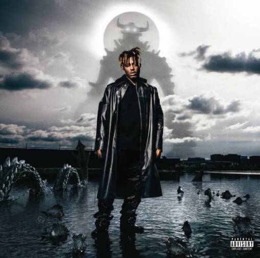 Okładka JUICE WRLD - FIGHTING DEMONS (2LP)