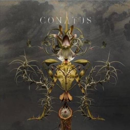 Okładka JOEP BEVING - CONATUS