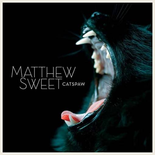 Okładka Sweet, Matthew - Catspaw